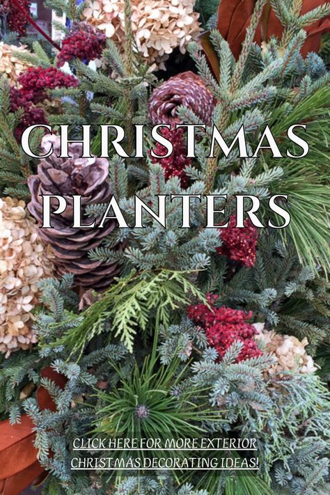 Winter Container Plants Front Porches, Outdoor Winter Container Ideas, Outdoor Container Christmas Decorations, Christmas Outdoor Urns Planters, Plants And Christmas Decor, Evergreen Pots Front Doors, Christmas Container Arrangements, Christmas Landscape Ideas, Christmas Outside Planter Ideas