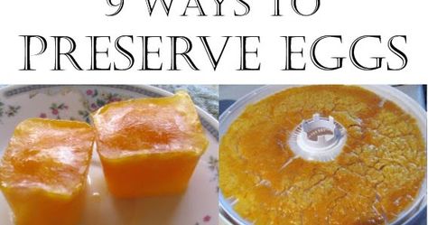 9 Ways to Preserve Eggs Dehydrating Eggs, Preserve Eggs, Preserving Eggs, Freezing Kale, Storing Eggs, Modern Homesteading, Pickled Eggs, Fresh Beets, Vegetable Noodles