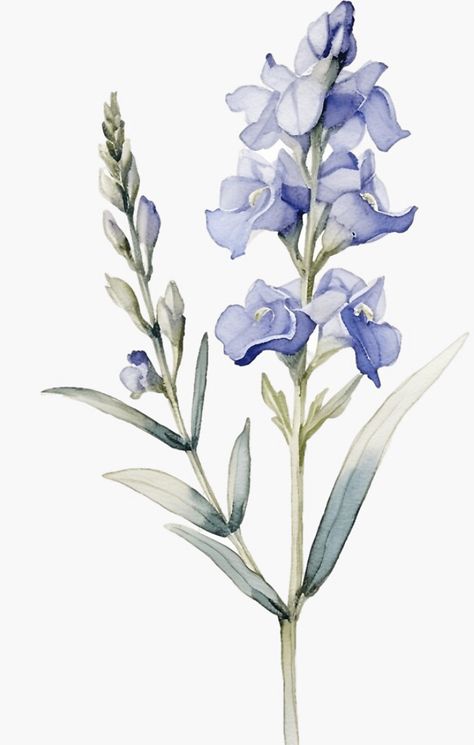 A watercolor design for a larkspur flower. This is one of July’s birth flowers! Larkspur Flower Watercolor, Larkspur Flower Aesthetic, Larkspur Illustration, Larkspur Painting, Larkspur Watercolor, Larkspur Drawing, July Birth Flowers, Watercolour Bouquet, Larkspur Flower Tattoos