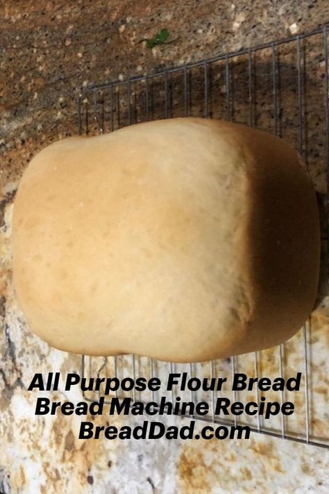 All purpose flour bread on wire cooling rack All Purpose Flour Bread, Recipes With Old Bread, Country White Bread, All Purpose Flour Recipes, Bread Machine Bread, Bread Machine Recipes Sweet, Easy Bread Machine Recipes, Bread Machine Recipe, Onion Bread