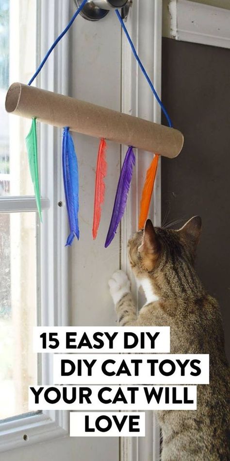 Easy Cat Toys To Make, Boxes For Cats Diy, Toilet Paper Roll Cat Toy Diy, Dog And Cat Toys Diy, Toys For Cats Diy How To Make, Cat Toys With Toilet Paper Rolls, Easy Homemade Cat Toys, How To Make Cat Toys Out Of Yarn, Crafts To Do With Your Cat