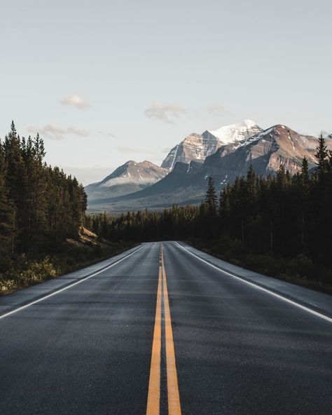 Chilled music for your Sunday mood Great American Road Trip, الفن الرقمي, World Of Wanderlust, World Most Beautiful Place, Beautiful Roads, Forest Landscape, Landscape Pictures, Wall Art Canvas Painting, Alam Yang Indah