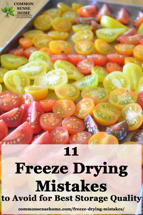 Dry Food Storage Ideas, Freezedried Recipes, Food Storage Ideas, Freeze Dried Food Storage, Freeze Dried Vegetables, Harvest Right Freeze Dryer, Best Freeze Dried Food, Jar Meals, Freeze Dryer