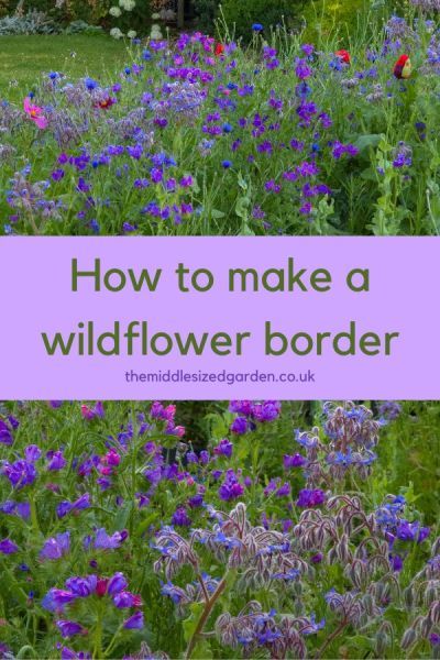 Wildflower Lawn Border, Modern Wild Garden, Wildflower Yard Ideas, Backyard Wildflower Garden Flower Beds, Cottage In A Meadow, Wildflowers In Yard, Perennial Wildflower Garden, Wild Flower Backyard, Wildflower Landscaping Front Yard