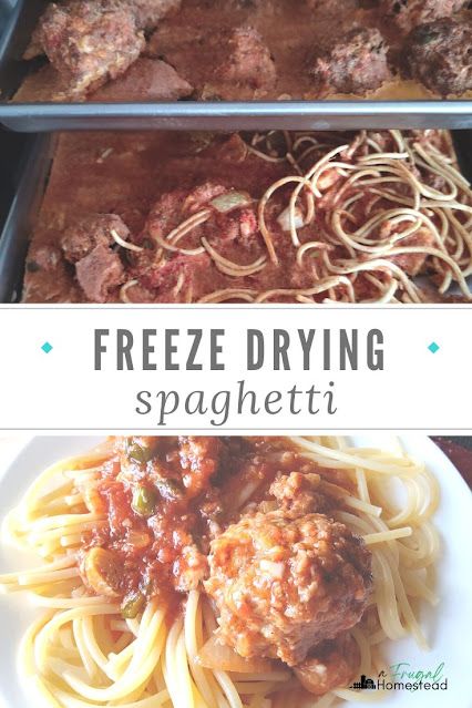 Freeze drying meals like freeze dried spaghetti and meatballs is a great way to create food storage but also cut back on meal prepping during a busy w Best Meals To Freeze Dry, Dry Freeze Food, How To Freeze Dry Marshmallows, Freeze Dry Potatoes, Meals To Freeze Dry, Best Freeze Dried Meals, Freeze Dried Meals Recipes, Freeze Dry Meal Recipes, Freeze Dried Meal Ideas