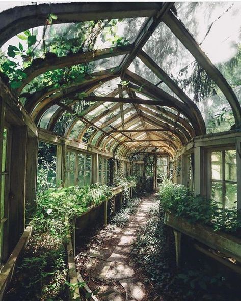 Green house Lots Of Plants, Earthship, Design Case, Dream Garden, Garden Room, Abandoned Places, My Dream Home, Future House, Secret Garden