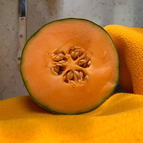 Cantelope Fruit, Cantaloupe Aesthetic, Cantaloupe Fruit, Aesthetic Food, Colorado, Fruit, Quick Saves