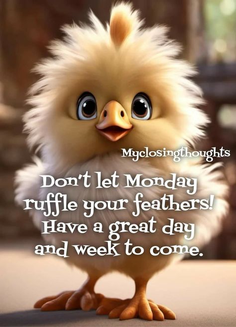 Monday Morning Quotes Funny, Good Night Monday, Monday Morning Greetings, Happy Monday Images, Good Morning Animals, Happy Monday Quotes, Monday Morning Quotes, Happy Day Quotes, Funny Day Quotes