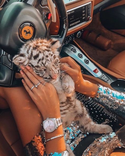 Rich Kids Of Instagram, Super Rich Kids, Pet Tiger, Baby Tiger, Baby Animals Funny, Rich Kids, Cute Cars, Baby Pictures, Makeup Inspo