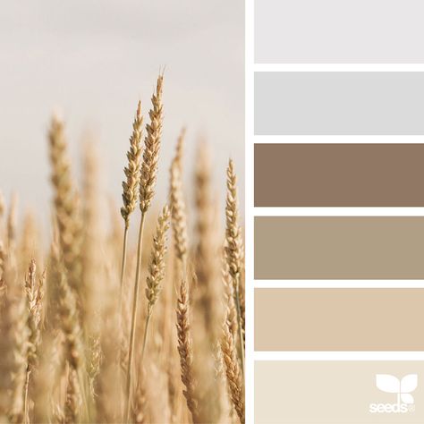 Nature-Inspired Color Palettes AKA Design Seeds For Designers, Crafters And Home Decorators | Bored Panda Design Seeds Color Palette, Seeds Color Palette, Design Seed, Seeds Color, Palette Design, Nature Color Palette, Design Seeds, Color Palette Design, Nature Design