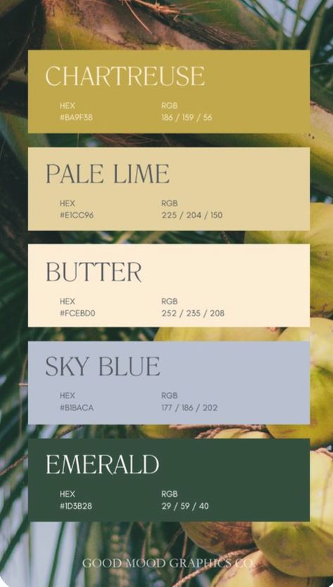 Trending Color Schemes, Tropical Pallet Colour Palettes, Home Library Color Palette, Fresh Colour Pallete, August Colors 2024, Colors That Go With Chartreuse, Chartreuse Color Scheme, What Colors Compliment Green, Miss Green Color Palette