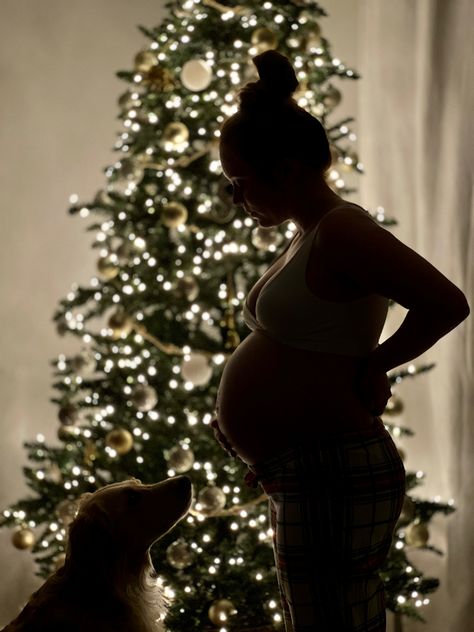 Maternity Christmas Pictures, Pregnant Silhouette, Christmas Pregnancy Photos, Creative Baby Announcements, Diy Maternity Photos, Baby Bump Photoshoot, Winter Maternity Photos, Pregnancy Announcement Photoshoot, Eau Claire Wisconsin