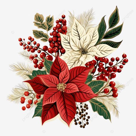 winter and christmas stylized decorative leaf designs of poinsettia holly berry spruce tree png Poinsettia Painting Easy, Christmas Plants Illustration, Christmas Flower Illustration, Christmas Art Design, Christmas Foliage Illustration, Pointsetta Christmas, Poinsettia Illustration, Christmas Png Images, Christmas Ball Ornaments Diy