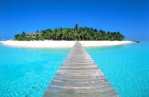 agatti-island-lakshadeep-kerala-india جزر المالديف, Beach Maldives, Best Island Vacation, Beach Therapy, Maldives Resort, Beautiful Places On Earth, Destination Voyage, Island Vacation, Island Beach