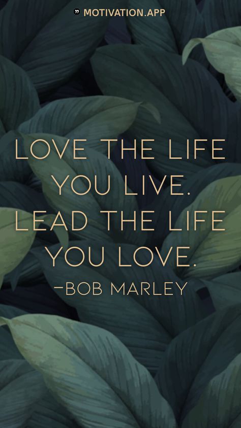 Love the life you live. Lead the life you love. -Bob Marley From the Motivation app: https://motivation.app Mind Is Everything, Motivation App, Intelligent People, That One Friend, Bob Marley, What You Think, The Mind, You Deserve, Revenge