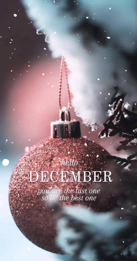 1 Month Till Christmas, New Month Quotes December, Hello December Wallpaper Aesthetic, Welcome December Hello, New Month Wishes December, December Welcome Quotes, Back To December Aesthetic, December New Month Quotes, Its December Quotes