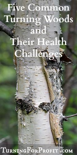 Health Challenges Woodworking Business Ideas, Woodturning Tools, Woodworking Store, Wood Turning Lathe, Health Challenges, Lathe Projects, Lathe Tools, Wood Turner, Learn Woodworking