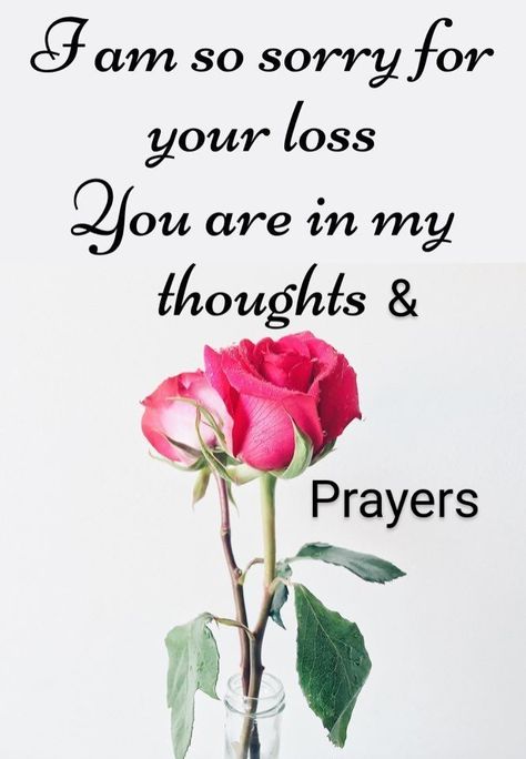 Sending My Deepest Condolences, Condolences On Your Loss, Condolences Messages For Loss Of Sister, Sorry For The Loss Of Your Mother, My Condolences To You And Your Family, Sorry For Your Loss Condolences, Deepest Condolences Messages, My Condolences For Your Loss, Sympathy Quotes Condolences