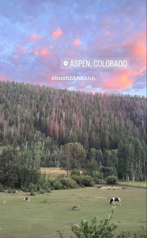 Aspen Colorado Aesthetic, Colorado Aesthetic, Colorado Summer, Living In Colorado, Aspen Colorado, Aesthetic Sunset, Colorado Travel, I Want To Travel, Future Travel