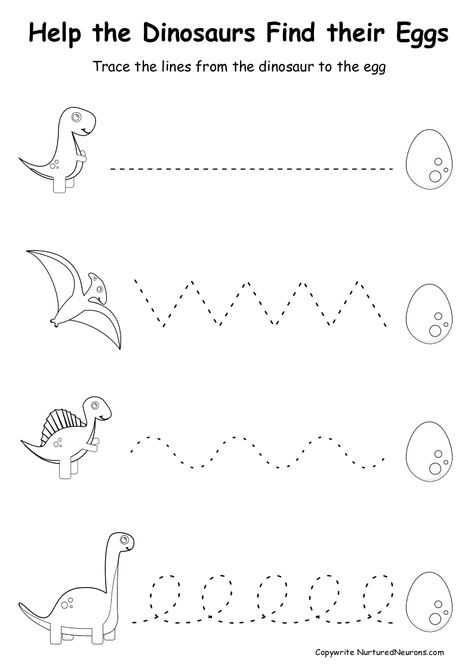 Your kids can practice their prewriting skills with these dinosaur preschool worksheets. Your children can develop their fine motor skills by carefully tracing the lines to help the dinosaurs reach the eggs. You can grab these free printable dinosaur worksheets over at Nurtured Neurons. #dinosaurworksheets #preschoolworksheets #prewriting #prewritingsheets #tracethelines #preschooldinosaur #dinosaurprintables #dinosauractivities #finemotorsheets Simple Preschool Worksheets, Preschool Pdf Free Printable, Dinasour Worksheets Preschool, Worksheets For Age 3, Dry Erase Worksheets Preschool, Fine Motor Skills Dinosaurs, Prek Tracing Worksheets Free, Simple Tracing Worksheets, Crafts For Motor Skills