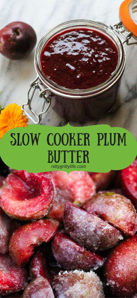 Slow Cooker Plum Butter Canning Fruit Butters, What To Do With Over Ripe Plums, Ripe Plums Recipes, How To Preserve Plums, What To Do With Plums Recipe, Recipe With Plums, Plum Syrup Recipe, Plum Butter Recipe Canning, Fresh Plum Recipes