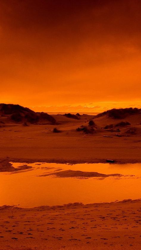 Hot Desert Aesthetic, Orange Desert Aesthetic, Red Desert Aesthetic, Desert Oasis Aesthetic, Desert Sunset Aesthetic, Orange Desert, Watercolor Night Sky, Sunset Desert, Desert Aesthetic