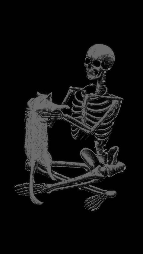 Fake Person, Skeleton Pics, Skeleton Artwork, Cat Skeleton, Cat Background, Nothing Special, Horror Lovers, Skeleton Art, Cat Artwork