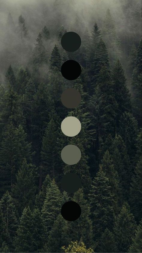 Dark Rustic Color Palette, Aesthetic Color Palettes Dark, Misty Forest Color Palette, Dark Green Pallet, Darker Color Palette, Dark Aesthetic Color Palette, Woodsy Color Palette, Nature Color Pallete, Bedroom Color Pallet Ideas