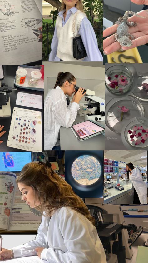 Biology major college aesthetic Biology Major, College Aesthetic, Biology, Lab, Collage