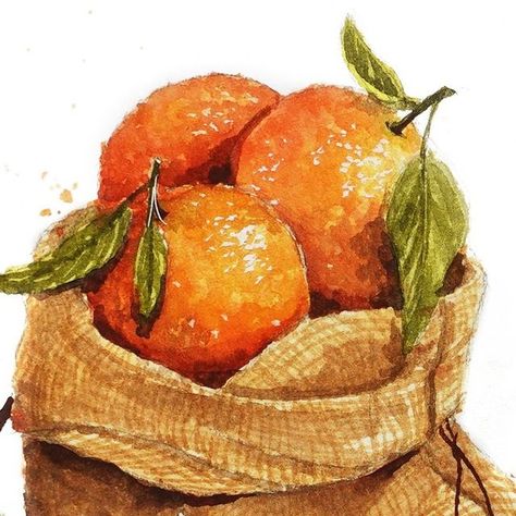 Nianiani on Instagram: "Sack of oranges 🍊
Tutorial on my YouTube Channel, Nianiani :)
.
.
.
.
.
#watercolor #watercolour #foodillustration #watercolorpainting #watercolorart #watercolortribe #worldofartists #instaart #watercolor_daily #watercolortutorial #foodpainting #watercolorfood #watercolorfoodart #foodart #foodartist" Nianiani Watercolor, Watercolor Fruits, Food Artists, Watercolor Food, Watercolor Fruit, Food Painting, April 4, Watercolour Tutorials, Food Illustrations