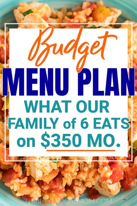 Looking for easy, budget friendly meal ideas? Here's the frugal two week menu plan that our family of six has enjoyed recently! Lots of great menu inspiration! #thriftyfrugalmom #menuplans #mealplan #frugalliving #grocerybudget Meals That Will Last A Week, Dinner Ideas Large Family, Cheap Meal Plans Families, Frugal Meals Healthy, Cheap Large Family Meals, Frugal Meals For Large Families, Cheap Meals For Large Families, Weekly Meal Plan Family, Budget Dinner