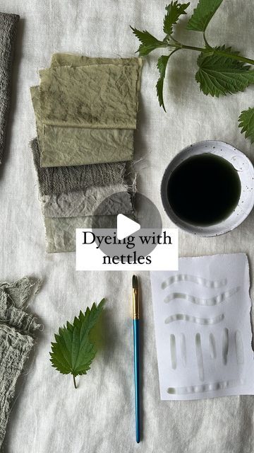 NATURAL DYEING | REBECCA DESNOS on Instagram: "Dyeing with nettles 🌿 Maybe a weed to some people, but an incredibly useful herb to the rest of us 😍 Nettles not only make delicious and nourishing tea, but they produce beautiful grey/green shades in the dye pot too. You’ve probably heard me talk about this before, but my number one tip for pretty much all dye plants is to allow them to soak in the dye for longer than you might first think. The colour will continue to change and darken as it oxidises. Heat gently (never boil) then turn off the heat, leave the lid on and allow the plants to soak in the dye over night. Observe as the dye darkens and reheat if you like, then leave to soak for longer. Practice this for different plants and trust your own judgement for making dyes ✨ I compa Natural Green Dyes For Fabric, Natural Dyes For Fabric, Desire Paths, Natural Green Dye, Diy Ink, Eco Dyeing Fabric, Dye Plants, Leaf Dyeing, Natural Dyeing Techniques