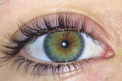 @rosiiemariie Central Heterochromia, Pretty Eyes Color, Heterochromia Eyes, Hazel Green Eyes, Beautiful Eyes Color, Hazel Green, Eye Close Up, Blue Green Eyes, Eye Photography