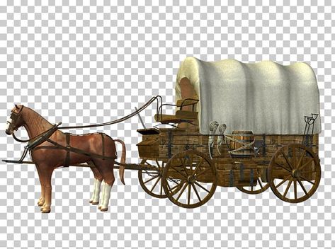 Horse Wagon Carriage, Carriage Reference, Horse Chariot, Horse And Wagon, Company Banner, Old Western Towns, Cinderella Coach, Horse Wagon, Earth Bag Homes