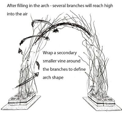 Out My front Door: branch arch project Tree Branch Wedding Arch, Branch Arch Wedding, Branch Centerpieces Wedding, Tree Branch Wedding, Diy Wedding Arch, Wedding Branches, Lights Diy, Curly Willow, Prom Theme