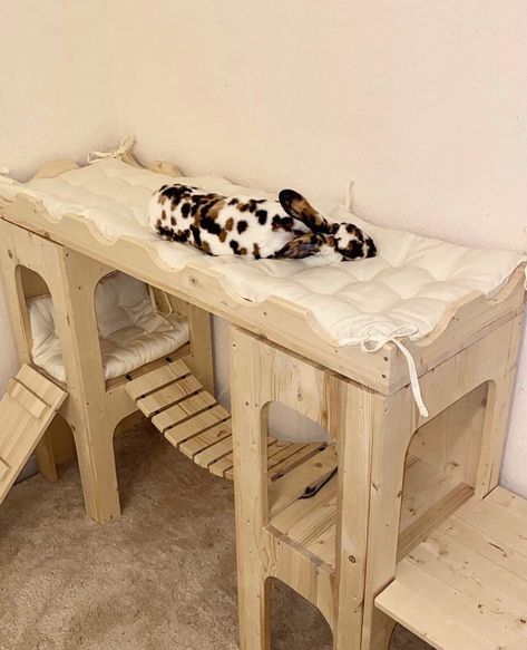 Bunny Tree House, Small Bunny Room Ideas, Rabbit Wooden House, Cool Bunny Cages, Clearly Loved Pets Rabbit, Under Bed Bunny Cage, Cute Rabbit House Ideas, Pet Bunny Enclosure, Bunny Gate Indoor