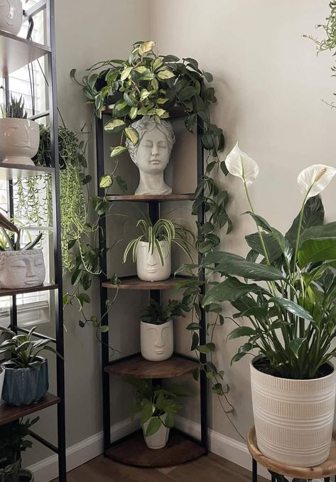 Plant Decor Indoor, Home Inspo, House Plants Decor, Apartment Decor Inspiration, Room With Plants, Decor Home Living Room, Home Design Decor, Dream House Decor, Design Case