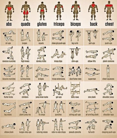 Trening Sztuk Walki, Gym Antrenmanları, Gym Workout Chart, Gym Workouts For Men, Workout Posters, Abs And Cardio Workout, Trening Fitness, Calisthenics Workout, Weight Training Workouts