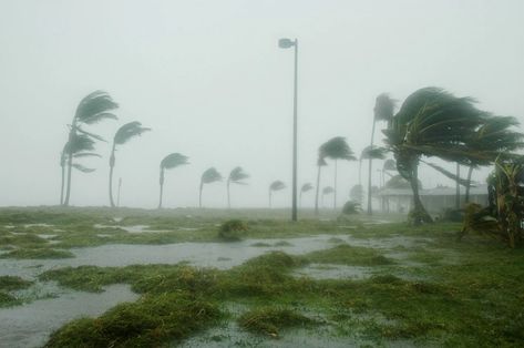 Key West Florida Hurricane Dennis - Free photo on Pixabay Pv System, Charity Gifts, Severe Storms, Dream Meanings, Dream Interpretation, Disaster Preparedness, Strong Wind, Severe Weather, Key West