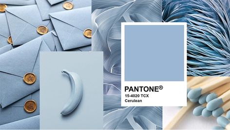 Colours Pantone, Pantone Wedding Colors, Pantone Colour Of The Year, Embroidery Business, Color House, Colour Spectrum, Human Psychology, The Human Eye, Color Forecasting