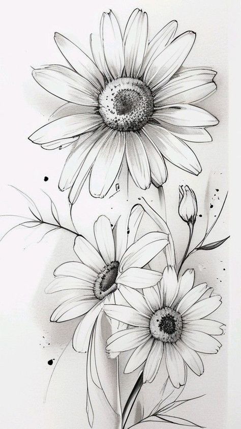 Drawings Of Daisies, Daisy Pencil Drawing, 2 Daisy Tattoo, Pencil Line Art Drawings, Daisy Art Drawing, Flower Line Drawing Pattern, Tattoo Pencil Drawings, Black And White Daisy Tattoo, Simple Daisy Drawing