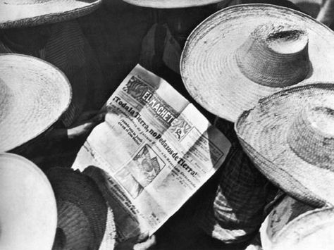 035_II Tina Modotti,Campesinos che leggono El Machete, 1929 Tina Modotti, Mexican Revolution, People Reading, Edward Weston, Diego Rivera, Arte Popular, Mexican Art, Harper's Bazaar, Library Of Congress