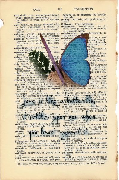 . Love Is Like A Butterfly, Butterfly Quotes, Book Page Art, Like A Butterfly, Dictionary Art, Vintage Printables, Smash Book, Altered Books, A Butterfly