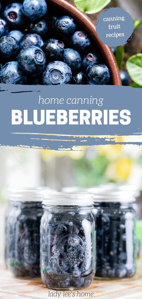 Preserve Blueberries, Canning Blueberries, Canning Fruit Recipes, Summer Canning, Water Bath Canning Recipes, Easy Canning, Pressure Canning Recipes, Canned Blueberries, Canning Fruit