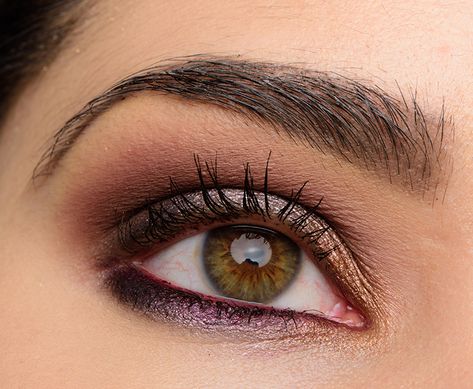 Eyeliner Brown Eyes, Plum Eyeliner, Plum Eyeshadow, Brown Eyeliner, Eye Makeup Pictures, Dark Autumn, How To Apply Eyeliner, Eye Makeup Tips, Hazel Eyes