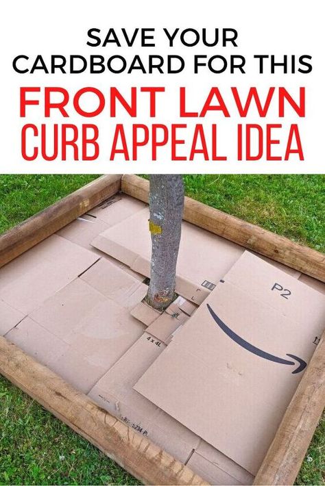 Diy Tree Base, Dog Fence Cheap, Acnh Garden, Easy Front Yard Landscaping, Curb Appeal Landscaping, Landscaping Decor, Curb Appeal Landscape, Yard Ideas Cheap, Yard Ideas Backyard