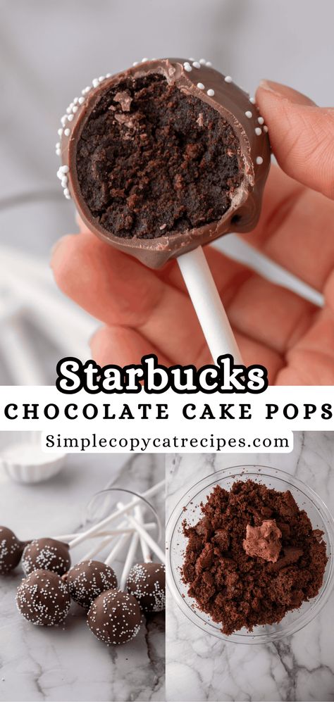 The Best Starbucks Chocolate Cake Pop Recipe - Simple Copycat Recipes Starbucks Chocolate Cake Pops, Starbucks Chocolate Cake, Chocolate Cake Pops Recipe, Brownie Cake Pops, Vegetarian Chocolate Cake, Starbucks Cake Pops, Starbucks Chocolate, Cake Pop Recipe Easy, Starbucks Cake