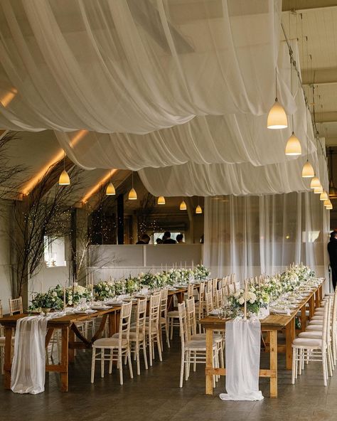 Draping Wedding, Wedding Ceiling, Romantic Florals, Dream Wedding Decorations, Barn Wedding Decorations, Dream Wedding Venues, Wedding Decor Style, Wedding Hall, Future Wedding Plans