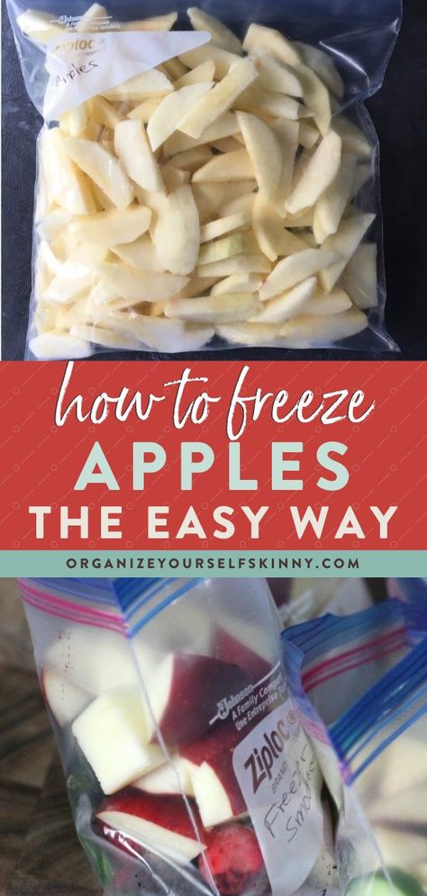 Apple Recipes Healthy Freezer, Can You Freeze Apple Butter, How To Save Fresh Apples, June Apple Recipe, Can You Freeze Sliced Apples, Can I Freeze Apples, Different Ways To Freeze Apples, Recipes For Red Apples, How To Prepare Apples For Freezing