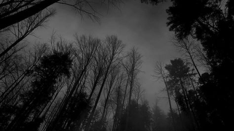 Uicideboy Wallpaper, Ed Wallpaper, Hipster Photography, Pc Photo, Dark Forest Aesthetic, Wallpaper Estetika, Dark Landscape, Laptop Wallpaper Desktop Wallpapers, Wallpaper Laptop